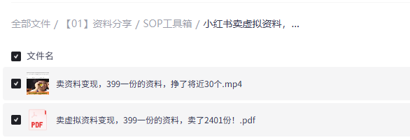 在小红书上如何卖电子版资料，搞副业怎么卖虚拟资料流程，女生副业可以干点什么达伟资源网-素材资源-软件工具-各种资源分享达伟资源网