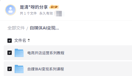 【技能提升】自媒体AI变现、电商运营系列课程，全部免费学达伟资源网-素材资源-软件工具-各种资源分享达伟资源网