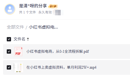 小红书虚拟电商项目,虚拟商品怎么开店自动发货,用这个方法卖资料月利润2万+达伟资源网-素材资源-软件工具-各种资源分享达伟资源网